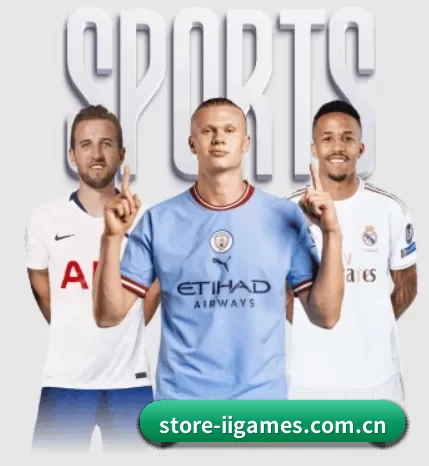 store-iigames.com.cn的故事